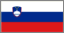 Slovenia flag