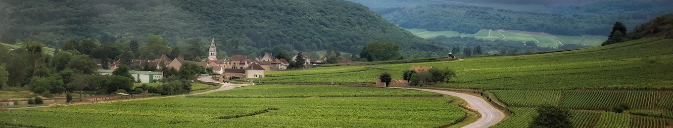 a rural view in France